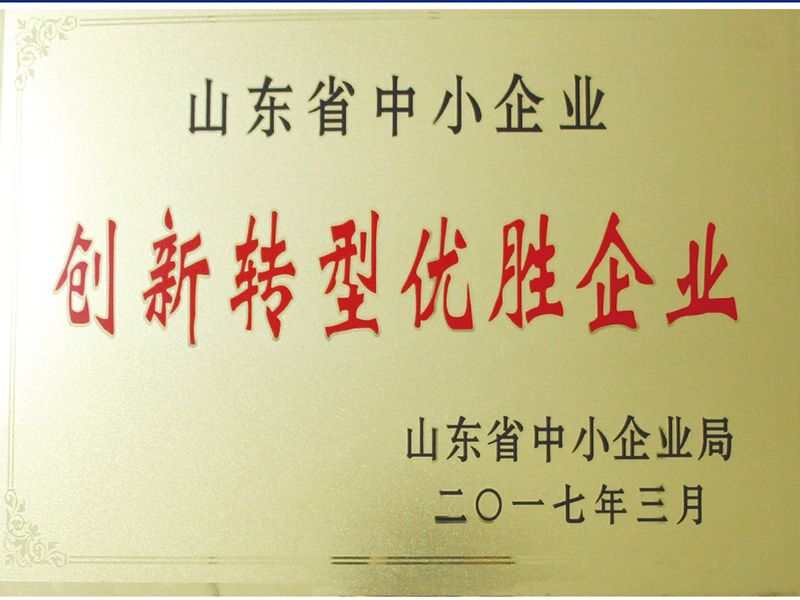 創(chuàng)新轉型優(yōu)勝企業(yè)